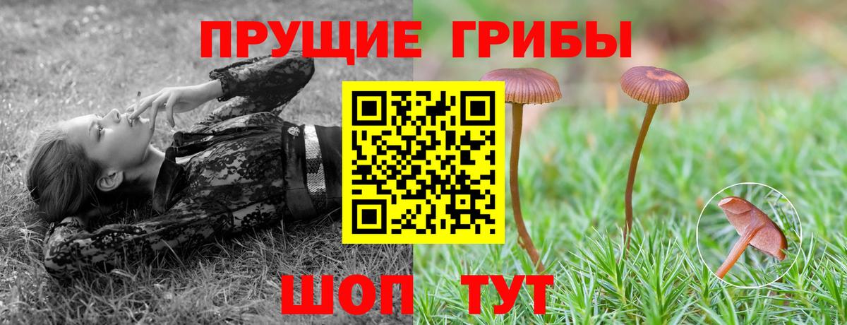 Галлюциногенные грибы Psilocybine cubensis Наро-Фоминск