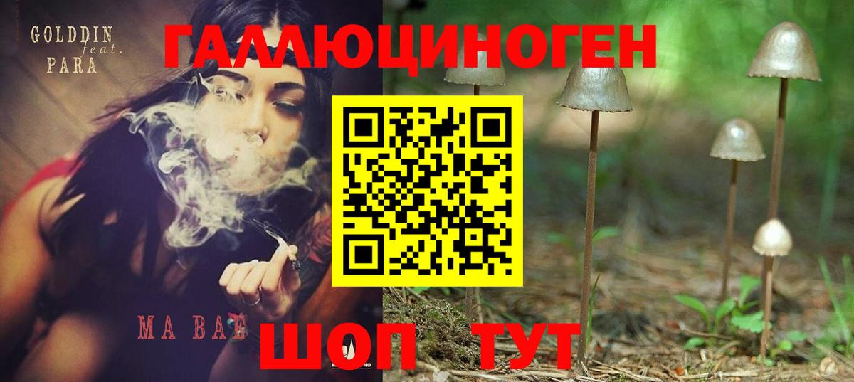 Галлюциногенные грибы Cubensis  Вход с VPN  Наро-Фоминск 